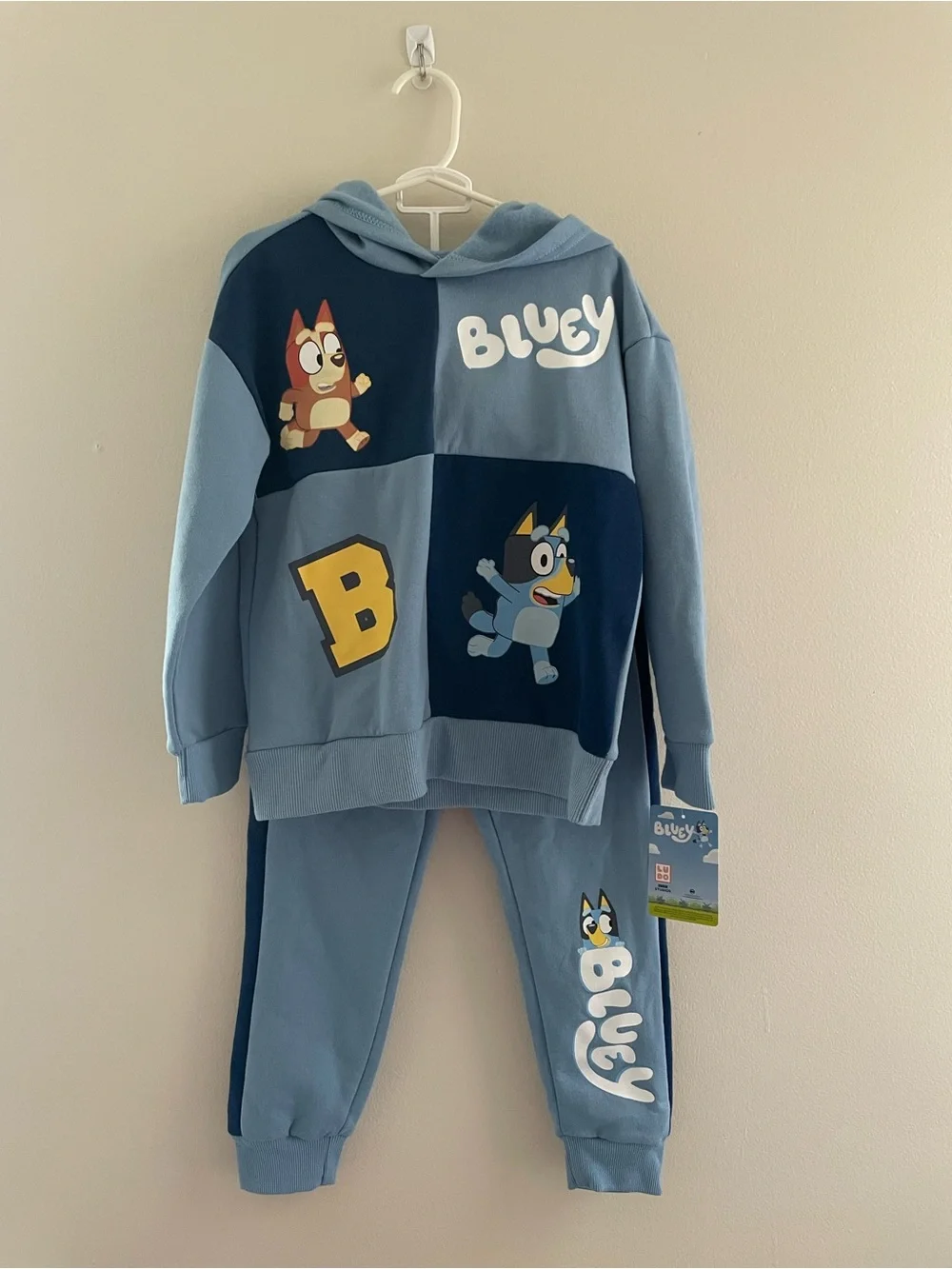 Toddler Boys NWT 5T Bluey and Bingo Hooded Sweat Pant Set